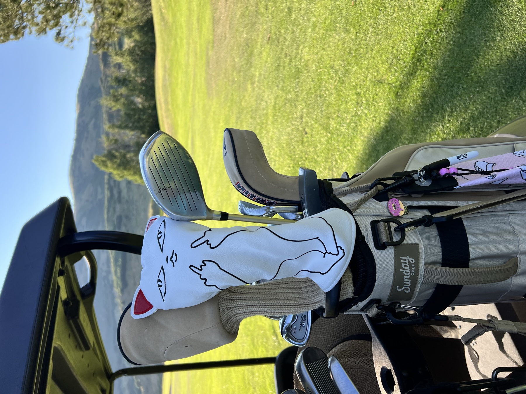 The bag says it all.